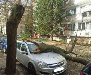 Бурният вятър нанесе щети в Сливен. Част от селата са без ток